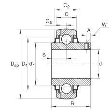 FAG شعاعي إدراج الكرات - GY1200-KRR-B-AS2/V