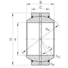 FAG Radial spherical plain bearings - GE110-FO-2RS