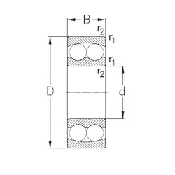 Bearing 1204 NKE