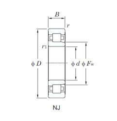 المحامل NJ2205R KOYO