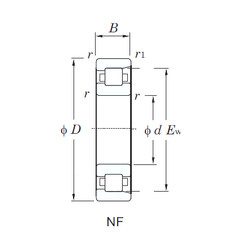 المحامل NF411 KOYO