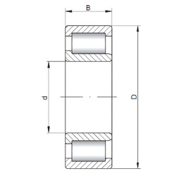 المحامل NJF2318 V CX