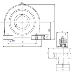 المحامل UCPA207 ISO