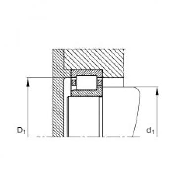 FAG محامل أسطوانية - NJ244-E-M1