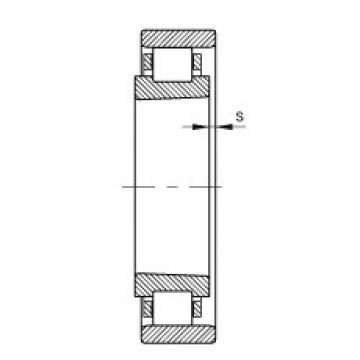 FAG محامل أسطوانية - N19/500-K-M1-SP