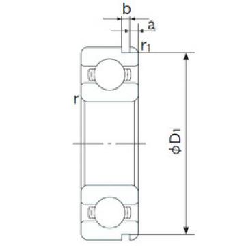 المحامل 6010N NACHI