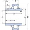 المحامل YAR 206-103-2FW/VA228 SKF