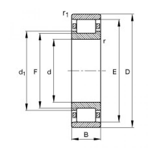 FAG محامل أسطوانية - N320-E-XL-M1 #1 image