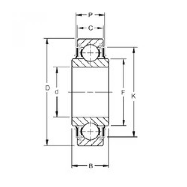 المحامل 203KRR2 Timken #1 image