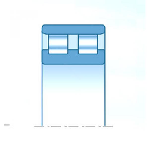 المحامل NN49/800KP5V1 NTN #1 image