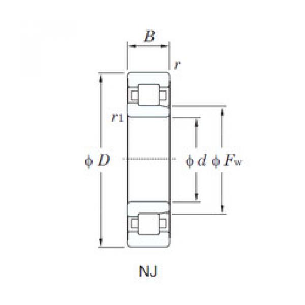 المحامل NJ2205R KOYO #1 image