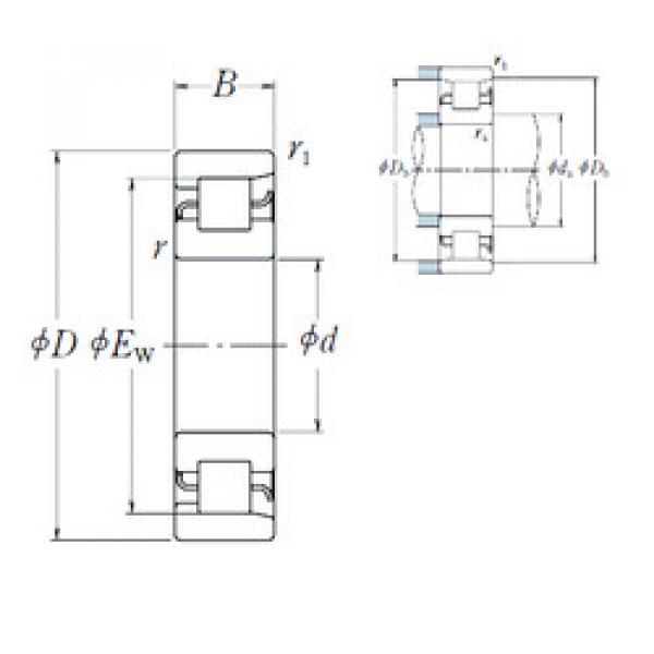 المحامل NF 232 NSK #1 image