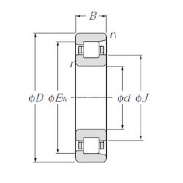 المحامل NF2309 CYSD #1 image