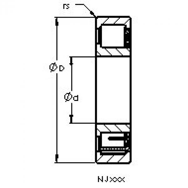 المحامل NJ2313 EM AST #1 image