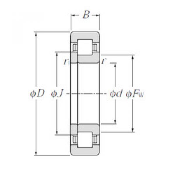 المحامل NUP316E CYSD #1 image