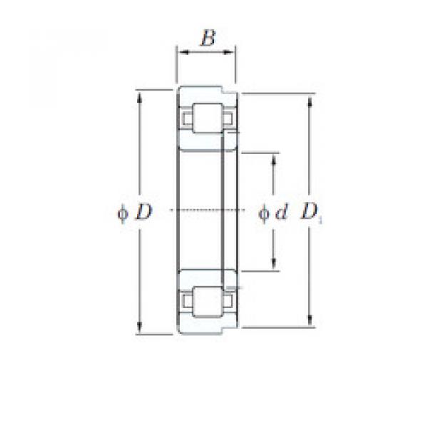 المحامل NUP305R KOYO #1 image