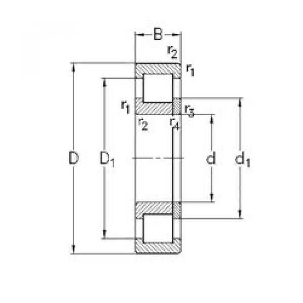 المحامل NUP328-E-M6 NKE #1 image