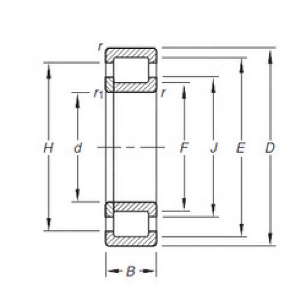 المحامل NUP304E.TVP Timken #1 image