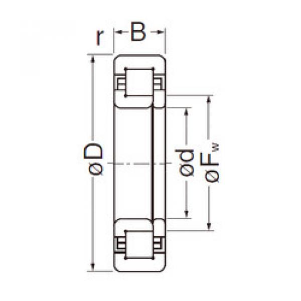 المحامل NUP311EG NACHI #1 image