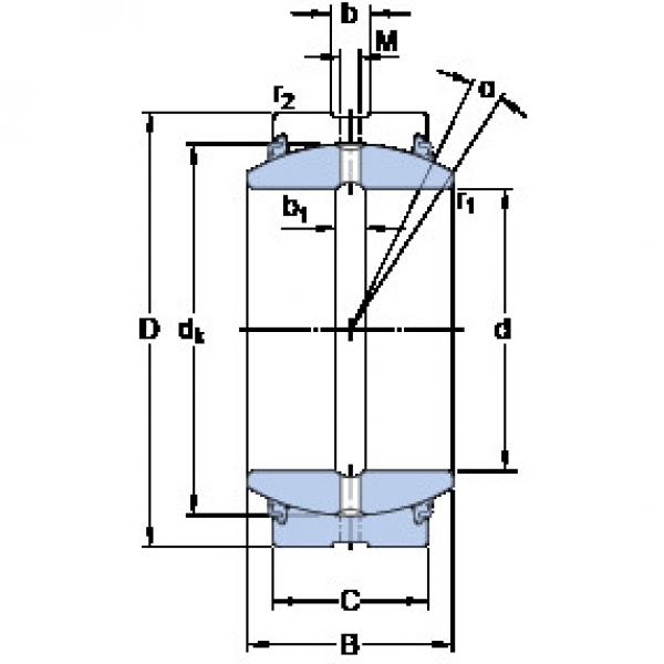 المحامل GE 300 ESX-2LS SKF #1 image