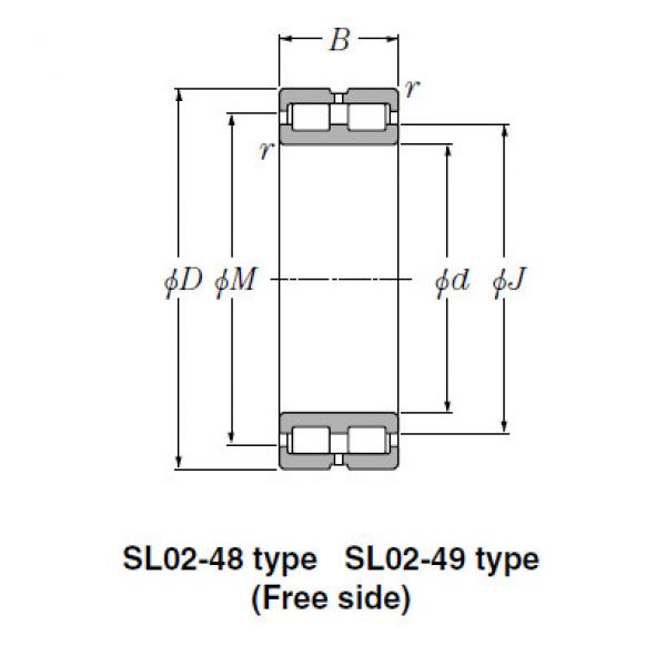 Bearing SL02-4856 #1 image